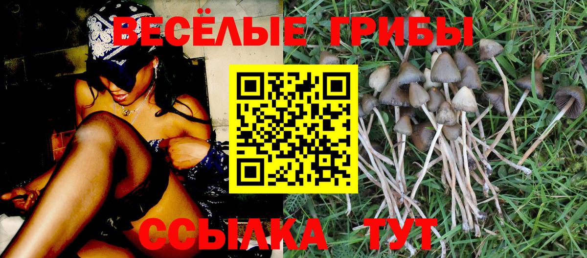 Галлюциногенные грибы Magic Shrooms Рыбинск